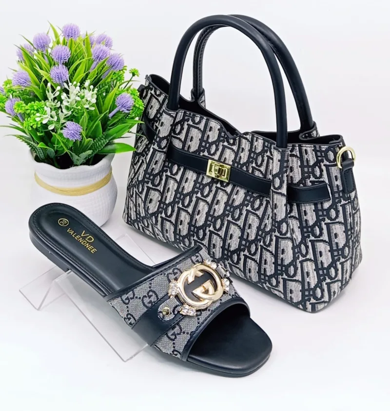 Ensemble de sac à main et chaussures