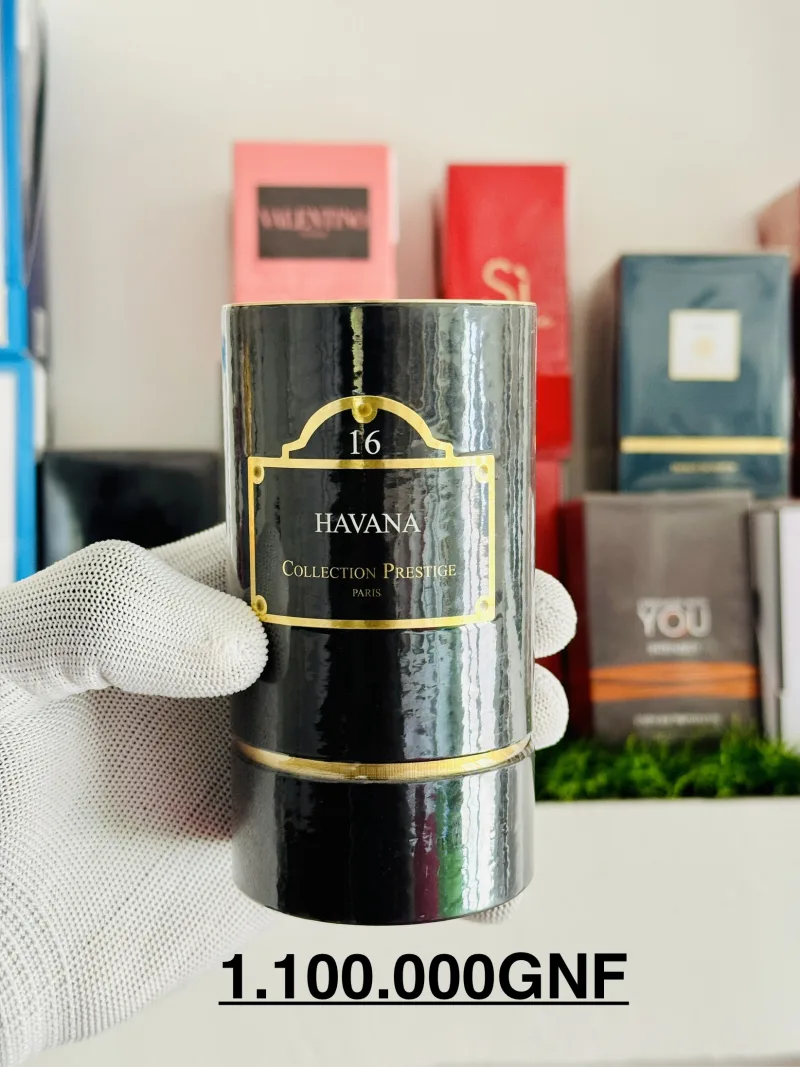Havana Collection Prestige n°16