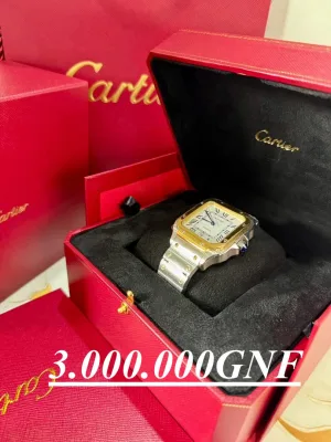 Cartier Santos